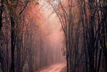 香港六合彩网站是否合法可靠？