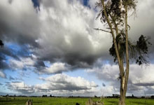 欢乐棋牌真的能带来纯粹的欢乐吗？